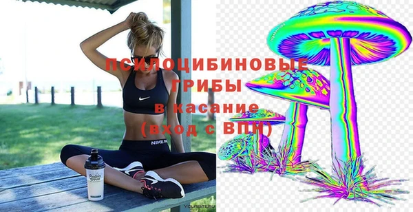 герыч Алексин